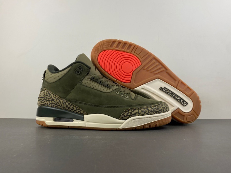 Air Jordan 3 Family Affair DN3707-202 